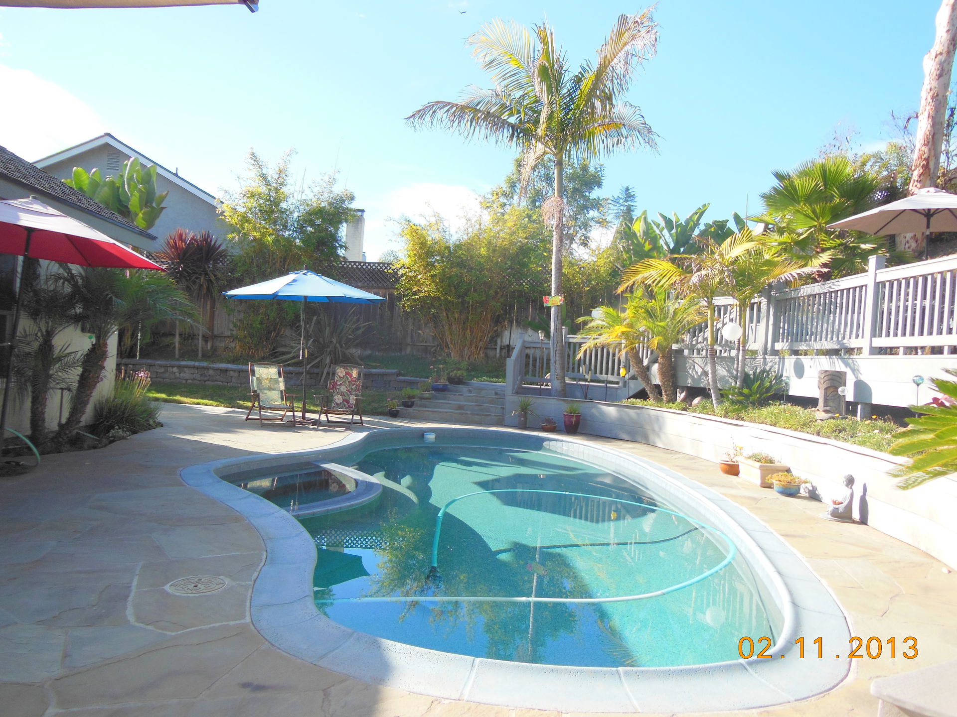 Tropical Backyard Paradise Bring The Pets Pool Deck Spa Garden